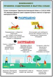 Памятка по выгулу домашних животных